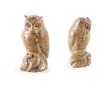 Thumb_owl_f6-317f02_140