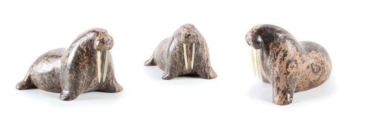 Medium_walrus_small_115