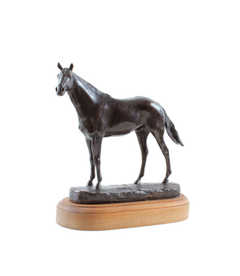 Medium_harry_o_hanlon_-_untitled_horse