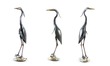Thumb_blue_heron_on_rock_25-37_3400