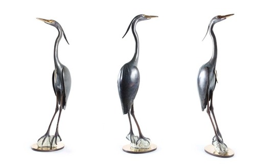 Medium_leaning_blue_heron_on_rock_39-50