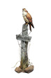 Thumb_reg_parsons_-_private_eye_sm