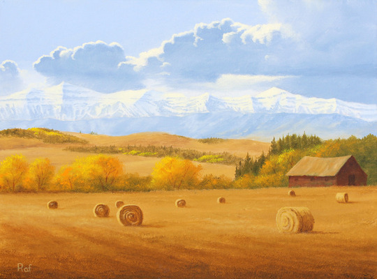 Medium_ted_ratery_-_round_bales_nr_black_diamond_dm