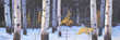 Thumb_carl_schlademan_-_a_hushed_wind_sm