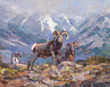 Thumb_fred_cameron_-_their_range_sm