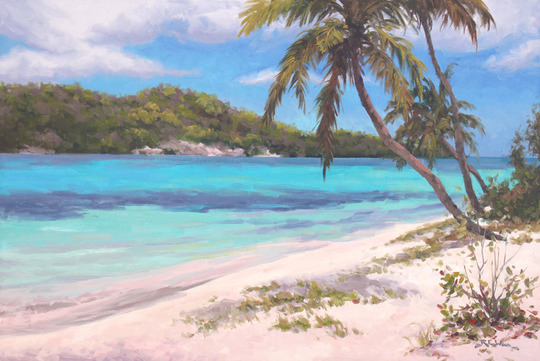 Medium_robert_wood_-_pink_sand_-_tobago_cays_sm