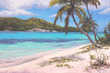 Thumb_robert_wood_-_pink_sand_-_tobago_cays_sm