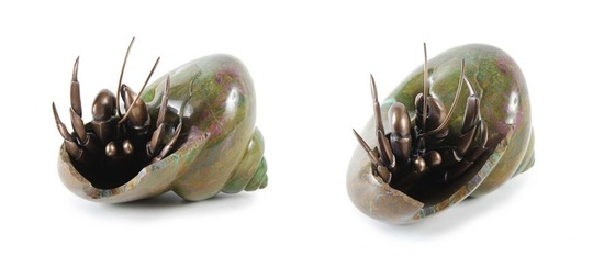 Medium_turbo_shell