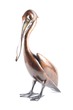 Thumb_pelican_ap_1-6_2950