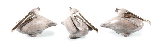 Medium_sitting_pelican_95-100_750