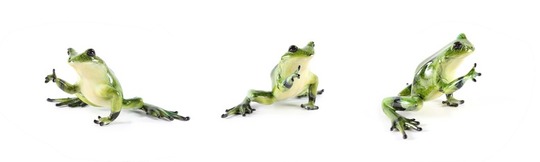 Medium_green_frog_17-75_525